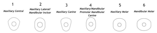 ScanCode Shapes with Numbers.